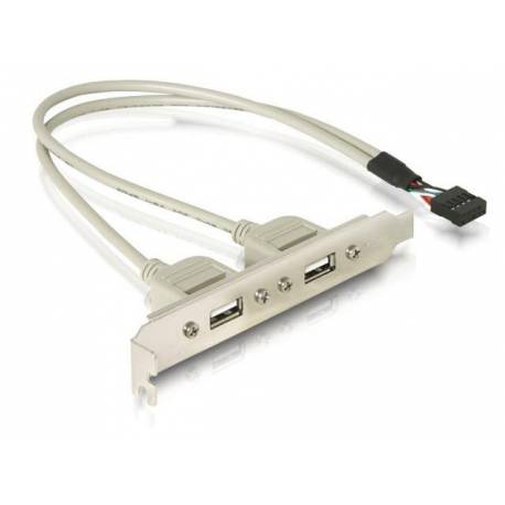 Gniazdo Delock USB 2XA na śledziu 0,3m