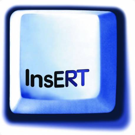 InsERT - Rewizor GT krok po kroku