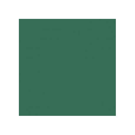 Brystol B2 50x70, kolorowy karton 270g, 20 arkuszy, ciemno zielony Kreska