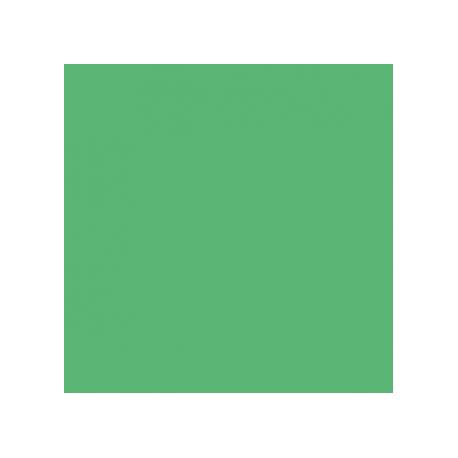 Brystol B2 50x70, kolorowy karton 270g, 20 arkuszy, zielony Kreska