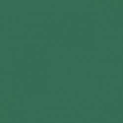 Brystol B1 70x100, kolorowy karton 270g, 20 arkuszy, c.zielony Kreska