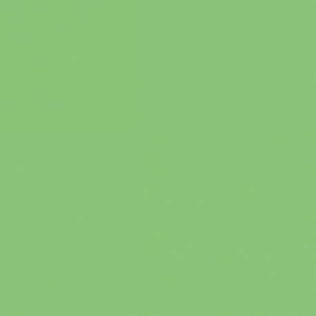 Brystol B2 50x70, kolorowy karton 270g, 20 arkuszy, j.zielony Kreska