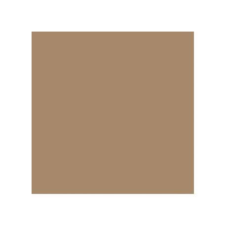Karton A3 (29,7x42cm) 170g, 20 arkuszy, brązowy (jasny) Kreska