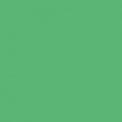 Karton A2 (40x60cm) 170g, 20 arkuszy, zielony Kreska