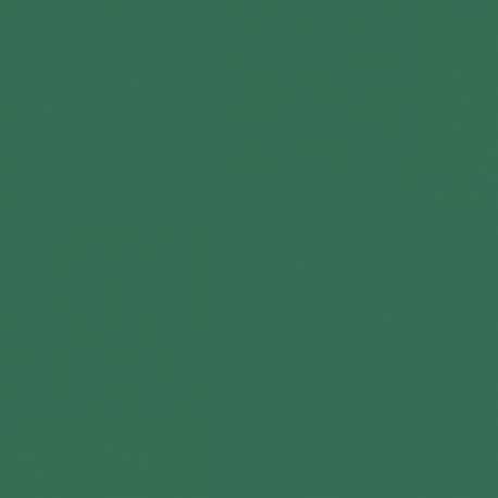 Karton A1 (86x61cm) 170g, 20 arkuszy, zielony (ciemny) Kreska