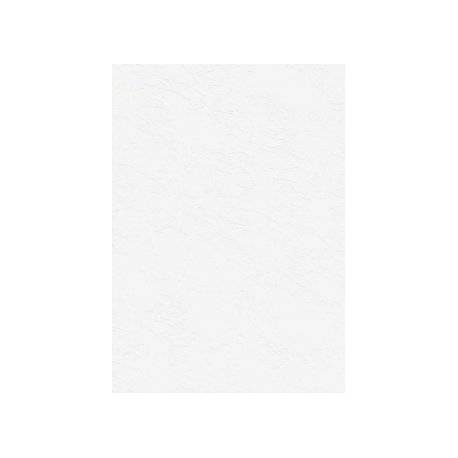 Karton wizytówkowy A4 tapeta-biały W04 (20ark) 246g Kreska