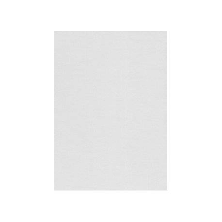 Karton wizytówkowy A4 sito-biały W12 (20ark) 240g Kreska