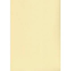 Karton wizytówkowy A4 tłoczony-kremowy W19 (20ark) 200g Kreska