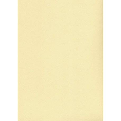 Karton wizytówkowy A4 tłoczony-kremowy W19 (20ark) 200g Kreska
