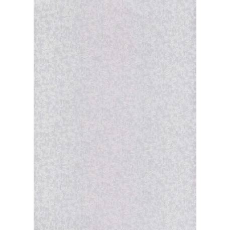 Karton wizytówkowy A4 mróz-srebrny W35 (10) 215g Kreska