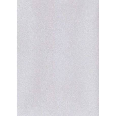 Karton wizytówkowy A4 sito-srebrny W52 (20ark) Kreska 215g