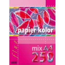 Papier A4 FLUO mix 250ark 5kol Kreska