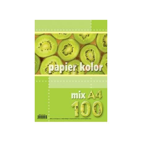 Papier xero A4 mix 100 ark Kreska