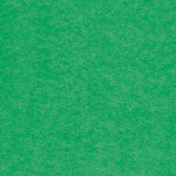 Brystol, kolorowe kartki papieru w formacie A1, 20 arkuszy, Zielony