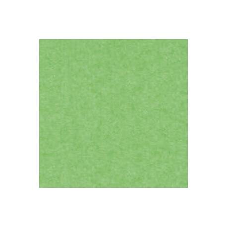 Brystol, kolorowe kartki papieru w formacie A1, 20 arkuszy, Jasnozielony
