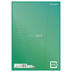 Papier kancelaryjny Color 2.0 A3 100 kartek, linia, zielony TOP-2000