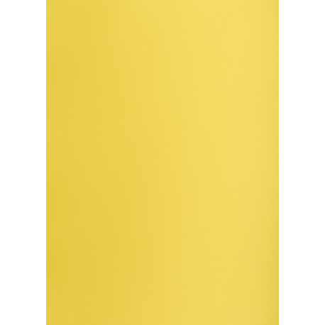 Brystol A1 160g, Kolorowe kartki Creatinio, 25 arkuszy, nr.55B jasnożółty