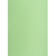 Brystol A1 160g, Kolorowe kartki Creatinio, 25 arkuszy, nr.69 groszkowy