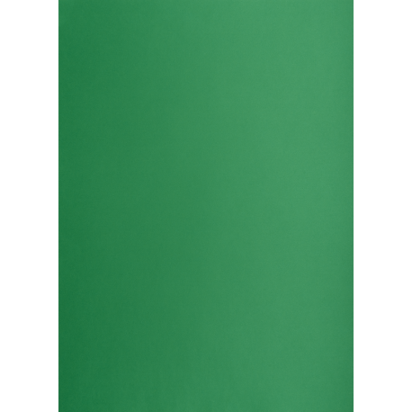 Brystol A1 160g, Kolorowe kartki Creatinio, 25 arkuszy, nr.63M c.zielony