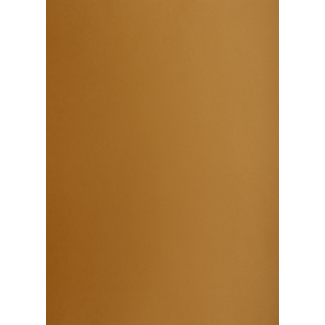 Brystol A2 160g, Kolorowe kartki Creatinio, 25 arkuszy, nr.19N brązowy