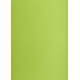 Brystol A2 160g, Kolorowe kartki Creatinio, 25 arkuszy, nr.66 j.zielony