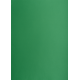 Brystol A2 160g, Kolorowe kartki Creatinio, 25 arkuszy, nr.63M c.zielony