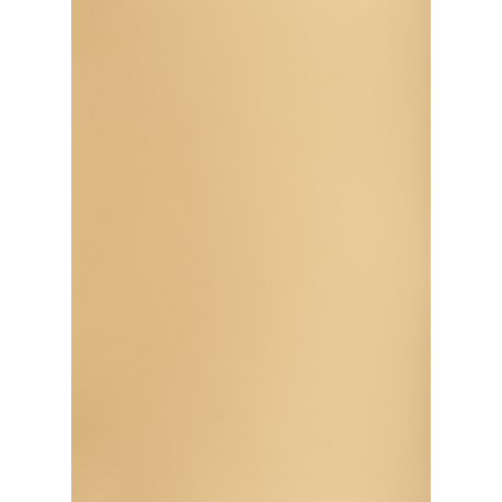 Brystol A3 160g, Kolorowe kartki Creatinio, 25 arkuszy, nr.16 jasnobrązowy