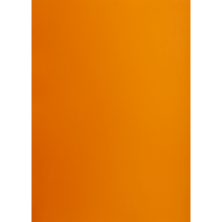 Brystol A3 160g, Kolorowe kartki Creatinio, 25 arkuszy, nr.48F pomarańczowy
