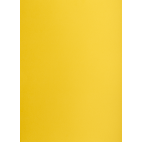 Brystol B1 225g, Kolorowe kartki Creatinio, 25 arkuszy, nr.58 ciemnożółty