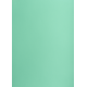 Brystol B1 225g, Kolorowe kartki Creatinio, 25 arkuszy, nr.64 seledynowy
