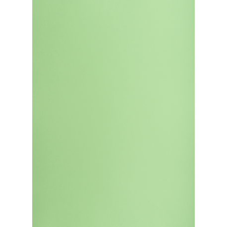 Brystol B1 225g, Kolorowe kartki Creatinio, 25 arkuszy, nr.69 groszkowy