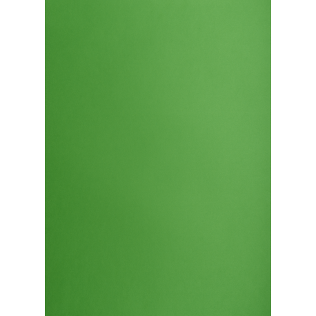 Brystol B1 225g, Kolorowe kartki Creatinio, 25 arkuszy, nr.68W j.zielony