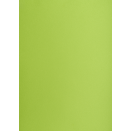 Brystol B2 225g, Kolorowe kartki Creatinio, 25 arkuszy, nr.66 j.zielony