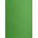 Brystol B2 225g, Kolorowe kartki Creatinio, 25 arkuszy, nr.68W j.zielony