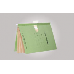 Teczka skoroszytowa, zawieszkowa, na akta osobowe, Manila A4, 4 części, 25 szt, zielony