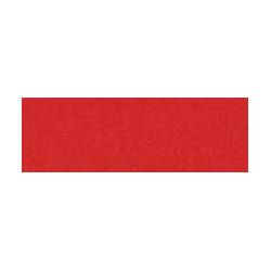 Brystol A2, Karton kolorowy 170g, 25 arkuszy brystolu, czerwony, Happy Color