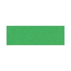 Brystol A2, Karton kolorowy 170g, 25 arkuszy brystolu, zielony, Happy Color