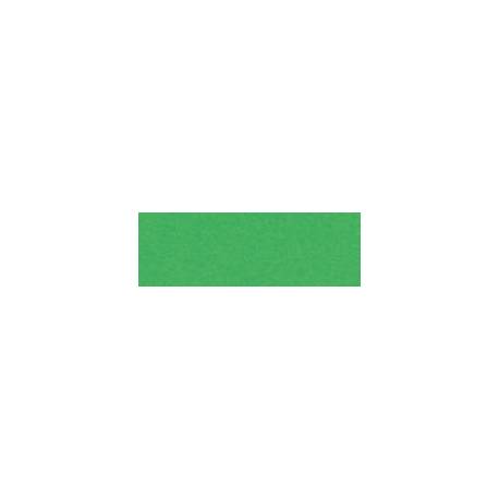 Brystol A2, Karton kolorowy 170g, 25 ark, zielony, Happy Color