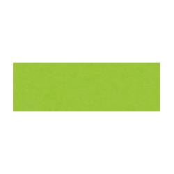 Brystol B2, kolorowy karton 50x70 cm, 270g, 25 arkuszy, jasnozielony, Happy Color