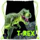 Worek na obuwie T-Rex, St.Majewski