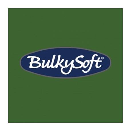 Serwetki BulkySoft 24x24, 2 warstwy 100 sztuk zielony