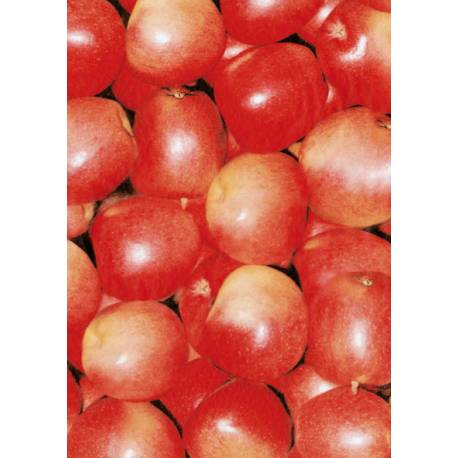 Papier do decoupage Czerwone jabłka30 x 40 cm  FDA491, Decopatch