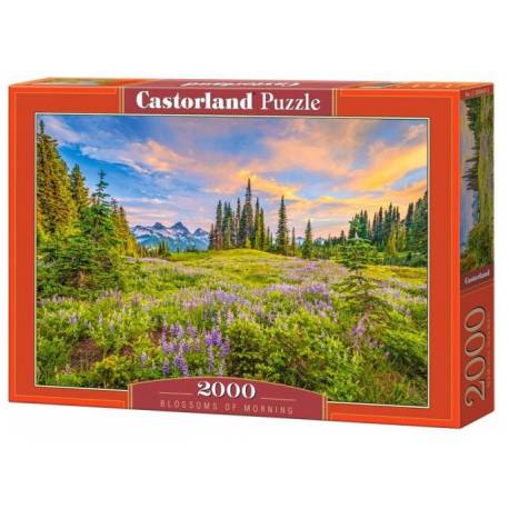Puzzle 2000-el. Blossoms of Morning C-200863-2, Castorland