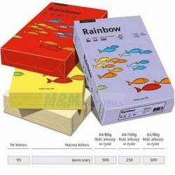 Papier xero Rainbow pastelowy A4 80g, j.szary r93