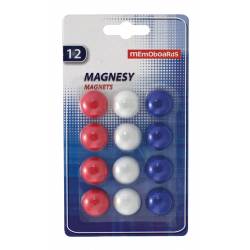 Magnesy Memoboards - 12 szt. f 20